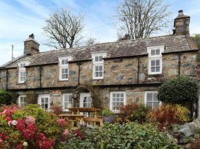 Bryn Hyfryd
